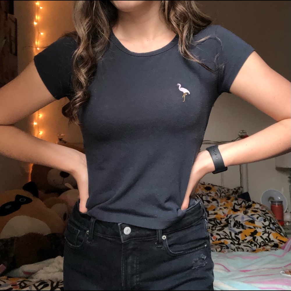 Brandy Melville Flamingo Top